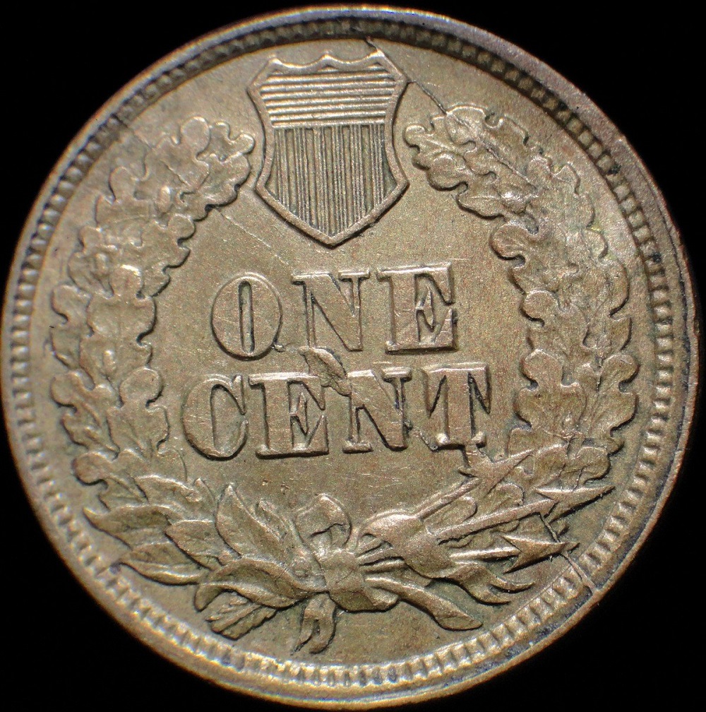 1876 Indian Head penny die cud variety showing raised irregular mass at reverse rim between 2 o'clock and 3:30 position caused by die break